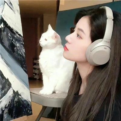 黑暗复仇者